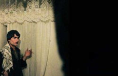 私密男宠,权谋之下的爱恋风云